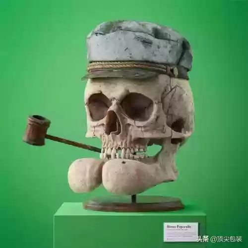 海绵宝宝的尸骨(画海绵宝宝一家人)插图10