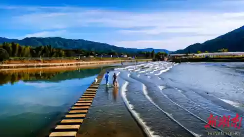 画师6770阵容(咸鱼7403关推图阵容)插图19