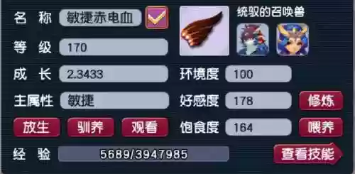 梦幻西游法伤加什么阵容(梦幻西游双法系队伍配置)插图4