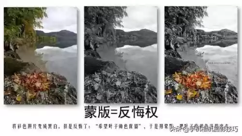 图片处理软件哪个好用(照片处理软件免费版)插图3