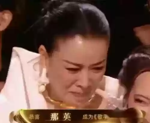 魏新雨阵容(大魏骑t0最强阵容一览表)插图3