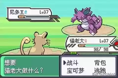 究极绿宝石战神阵容搭配(究极绿宝石3金手指大全)插图20
