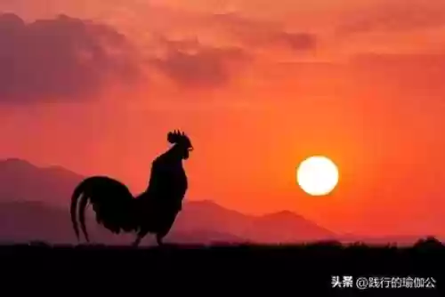阴阳师双修突破阵容(阴阳师最强阵容搭配)