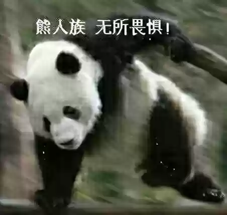 阵容7.5屠龙(三国群英传7青龙逆鳞)插图17