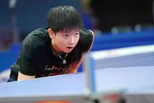 解说阵容邓亚萍(邓亚萍解说回放)插图1