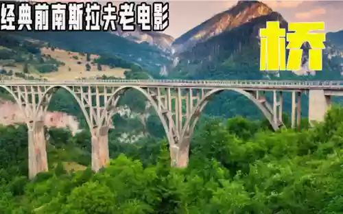 上译配音阵容(配音演员表)插图15