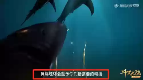 斗罗大陆最强蜘蛛阵容图片(斗罗大陆顶级蜘蛛武魂排名)插图2