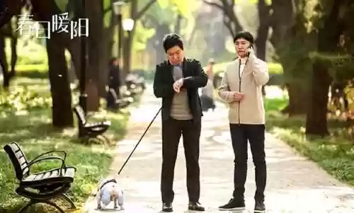 暖阳之下的演员阵容(一念关山演员表)插图5