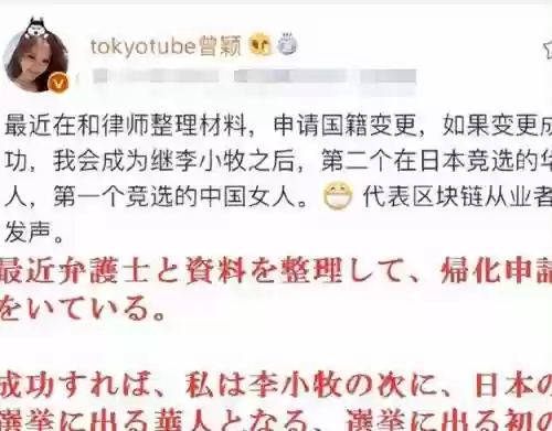 蚊香社阵容(刻晴激化队阵容推荐)
