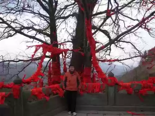 我在武当睡十年(武当睡十年最新章节内容)插图33
