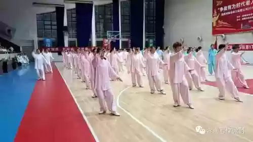 资兴队阵容(陆太鲁t0最强阵容)插图4