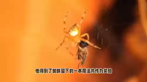 黑暗亚瑟阵容(亚瑟输出最强出装)插图3