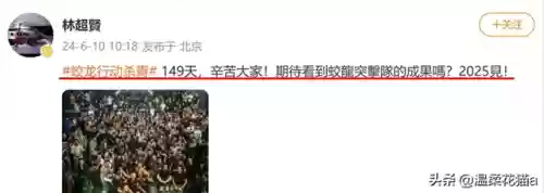 启航2 阵容(航海王启航后期顶级阵容)