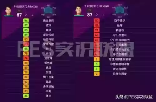 实况2020荷兰前锋阵容(实况足球10前锋排名)插图11 实况2020荷兰前锋阵容(实况足球10前锋排名)插图11