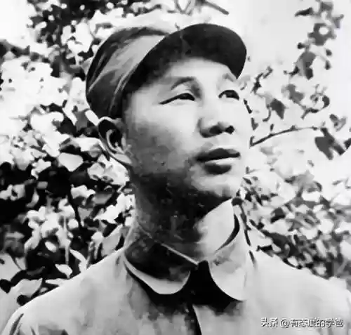 猪坚强阵容(打养猪流什么阵容最好)插图5