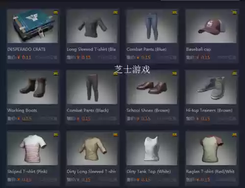 绝地求生单机版无限金币(绝地生存下载安装)插图4
