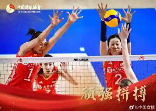 中国奥运女排阵容(奥运会女排八强)