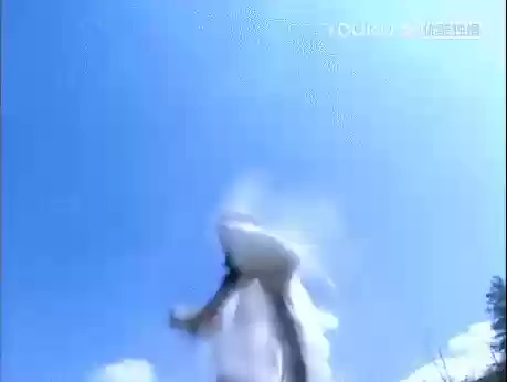 云顶之弈独斗阵容(云顶之弈斗法海给什么装备)插图5