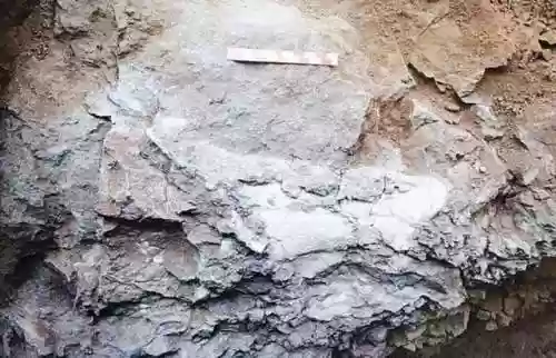 三叠纪 白垩纪 侏罗纪(地球所有纪的顺序是什么)