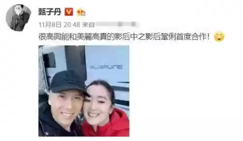 甄子丹经典阵容(赵文卓甄子丹战队图)