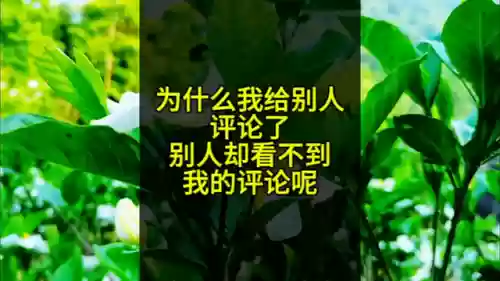 抖音评论别人怎么看不见(8个评论只显示5个是什么原因)