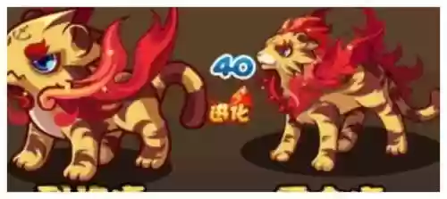 洛克王国烈焰虎(雷速音豹和赤焰烈虎)插图4