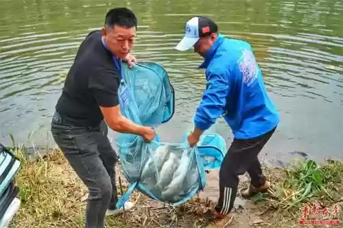 钓鱼人游钓天下(休闲：我,钓鱼人游钓天下 免费阅读)插图3