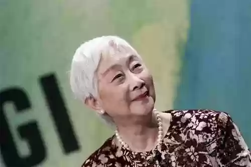 红楼梦杨洋版阵容搭配(多多自走棋阵容搭配)插图6