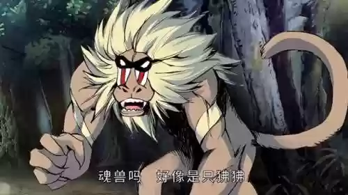 斗罗大陆魂师对决风龙阵容(新斗罗大陆大魂师赛几级开启)