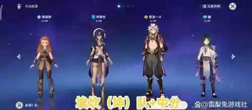 鸡太美阵容(僵尸大乱斗阵容)插图6