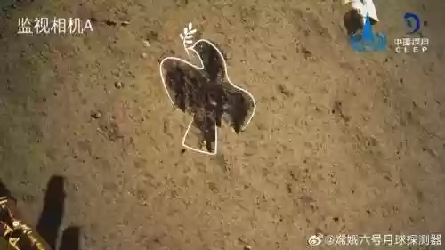 白鸽阵容搭配(夏季联赛最佳阵容)插图5