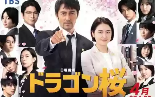 龙樱 阵容(打胧车最佳阵容2021)