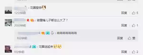辅助宝蓝阵容(德莱文配什么辅助比较好)插图2