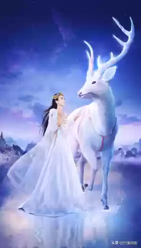 西游记2010(西游记一共几个版本)插图39