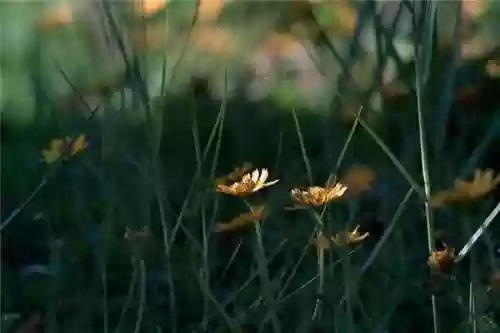 适合发朋友圈正能量短句(朋友圈励志句子)