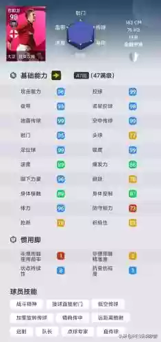 阵容评分99(宝可梦t0阵容)插图10