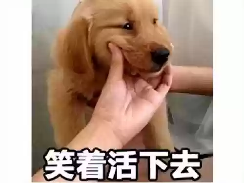 神谕之战攻略(地下城堡2神谕结晶攻略)插图7
