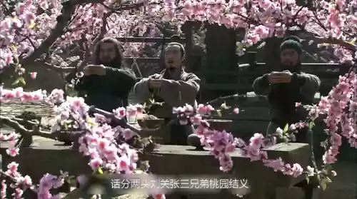 三国-开局曹老板要跟我结拜(三国:误入曹营,我成了天命谋主)插图1 三国-开局曹老板要跟我结拜(三国:误入曹营,我成了天命谋主)插图1