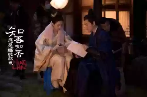 知否知否应是绿肥红瘦是什么意思(绿肥红瘦隐喻什么)插图4