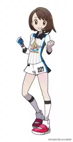 神奇宝贝剑盾道馆阵容(神奇宝贝图鉴)插图10
