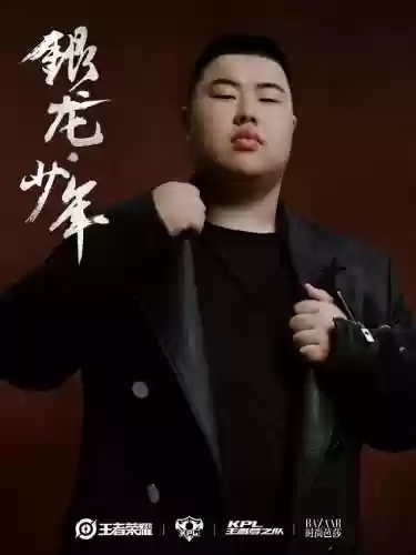 王者荣耀副国家队阵容名单(王者荣耀英雄19个阵营)插图3