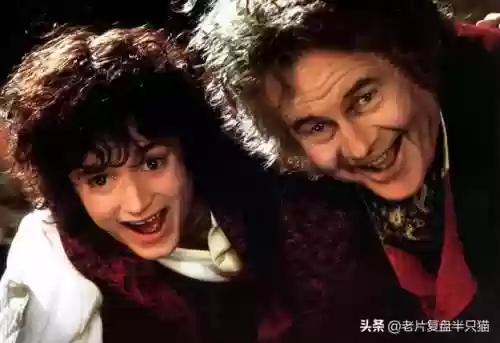 魔戒阿拉贡为什么死了(魔戒甘道夫死了没)插图50