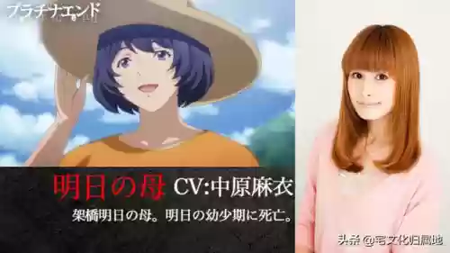 白金终局阵容(口袋妖怪白金冠军阵容)插图6