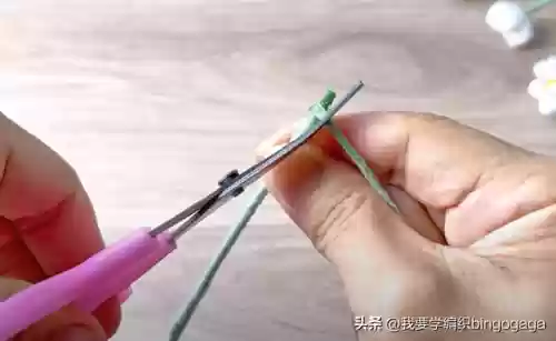 满天星花束(满天星花语及寓意)插图31