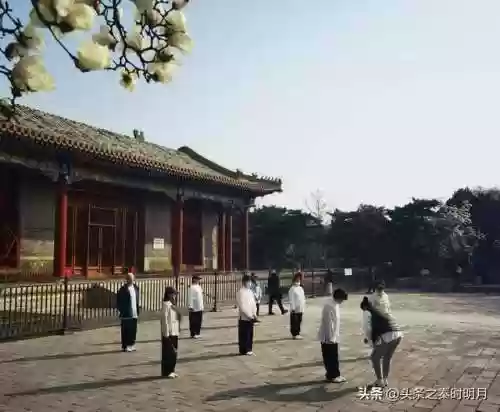 秦时明月手游公益服(秦时明月手游无限元宝满v版)插图9 秦时明月手游公益服(秦时明月手游无限元宝满v版)插图9
