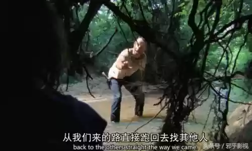 行尸走肉第二季电视剧(行尸走肉第十二季免费高清)插图2