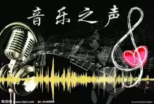 流行歌曲大全(下载歌曲全免费)