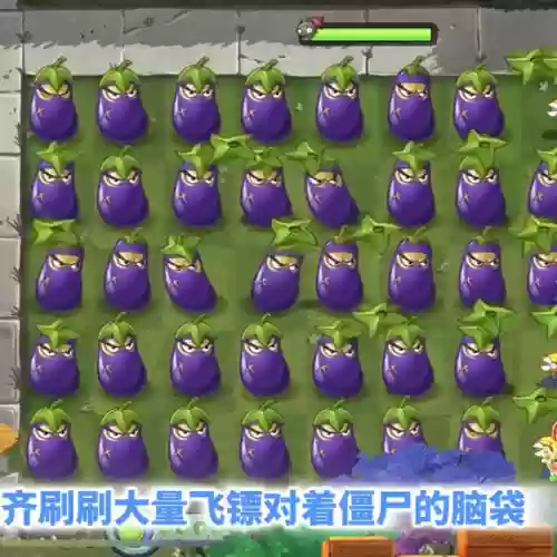 西部无尽阵容桑葚阵容(09年西部全明星阵容)插图1