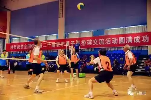 阵容配备原则(排球五一阵容配备示意图)