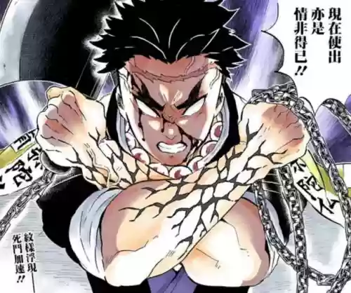 鬼灭之刃のェロ本恋柱(鬼灭之刃一共有几个柱)插图3